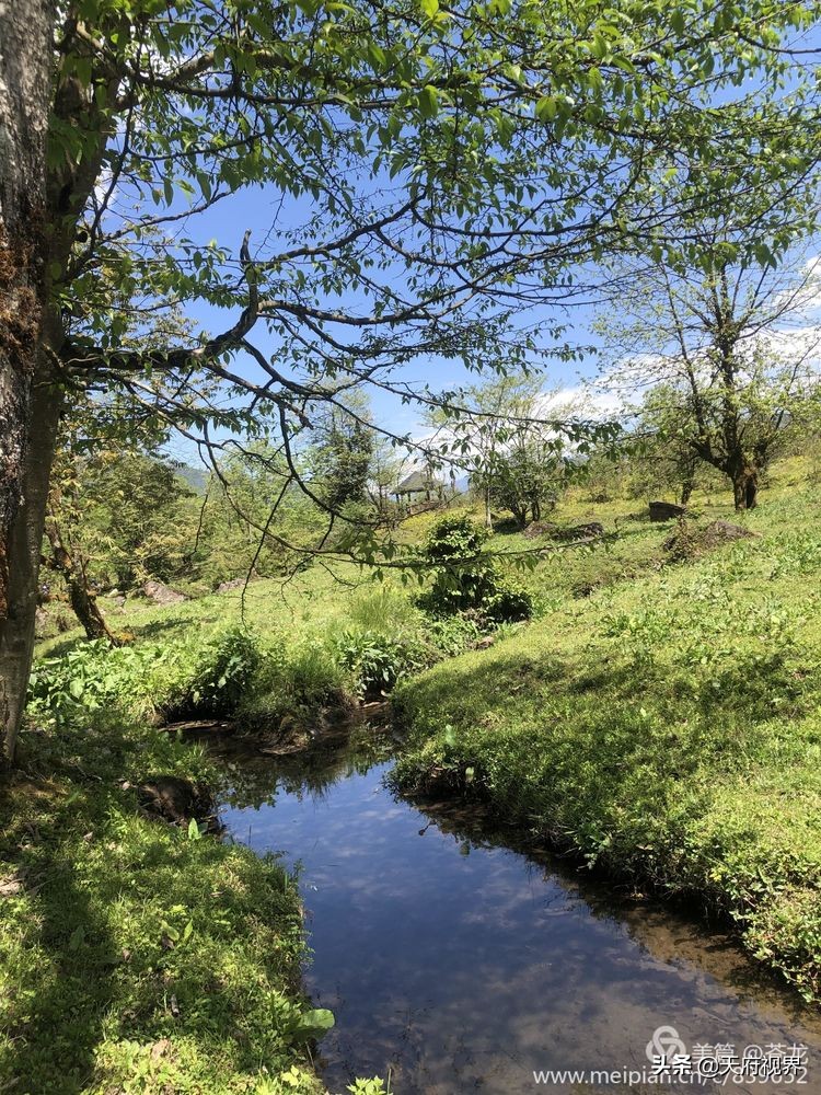 中国百慕大黑竹沟了解一下,穿越黑竹沟揭秘中国百慕大