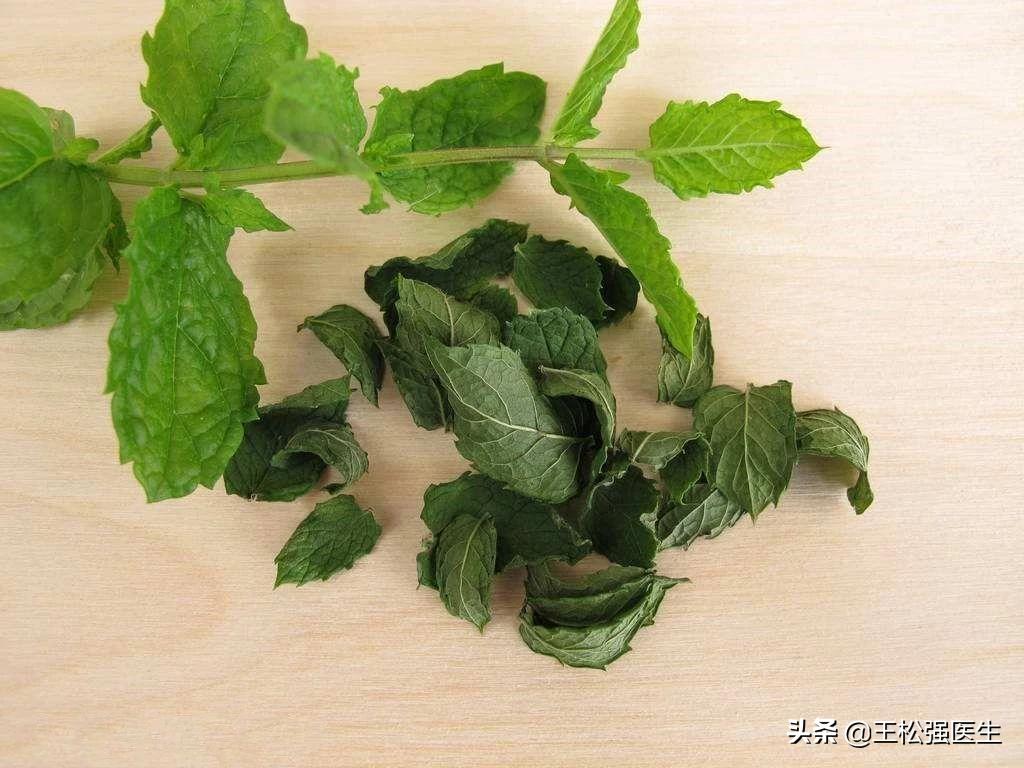 中药薄荷功效作用,中药薄荷介绍视频