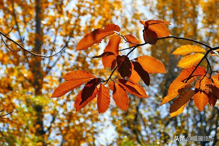 竹泉村景区,最美竹泉村