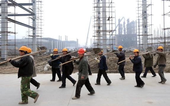 小型养殖有什么项目可以做,适合在农村养殖发展的项目