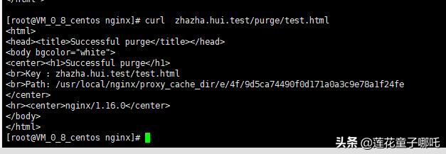 缓存架构,缓存结构