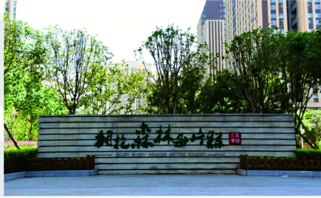 重庆人和的小学,重庆人和街小学与人和实验小学