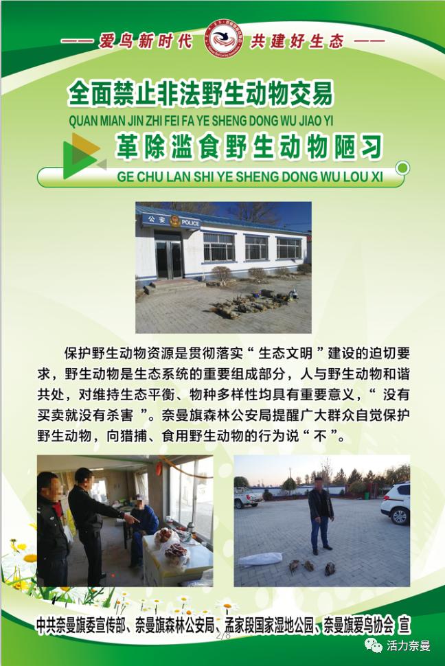 爱鸟周爱鸟护鸟,爱鸟周活动的目的是爱鸟护鸟吗