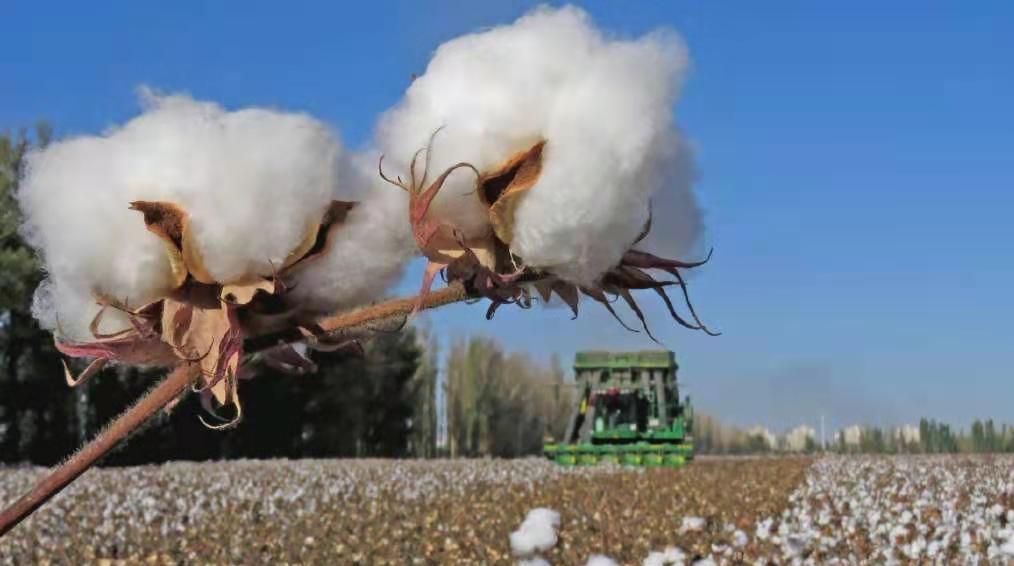 耐克红色联名高帮aj,耐克回到未来81万开箱回收