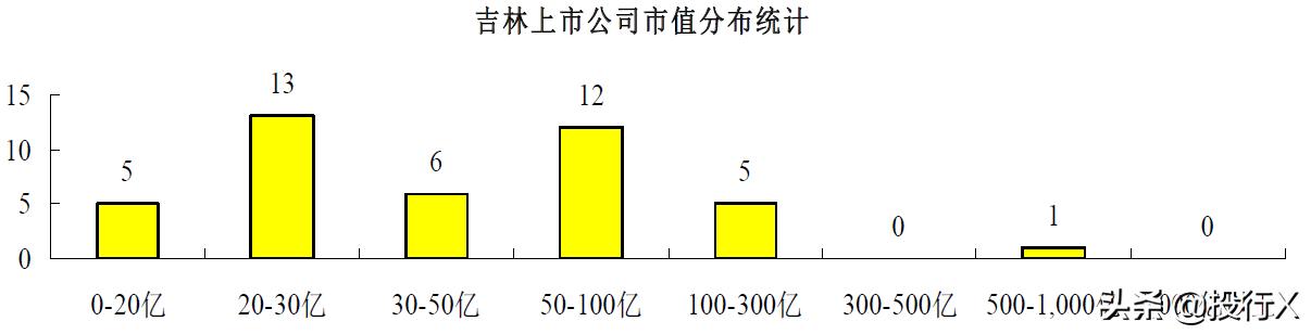 吉林资本运作规划,上市公司资本经营模式