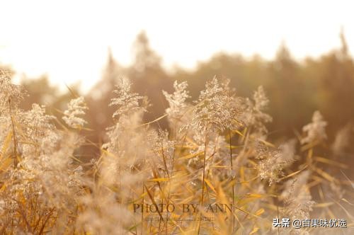 我在废都流浪之回家（二）