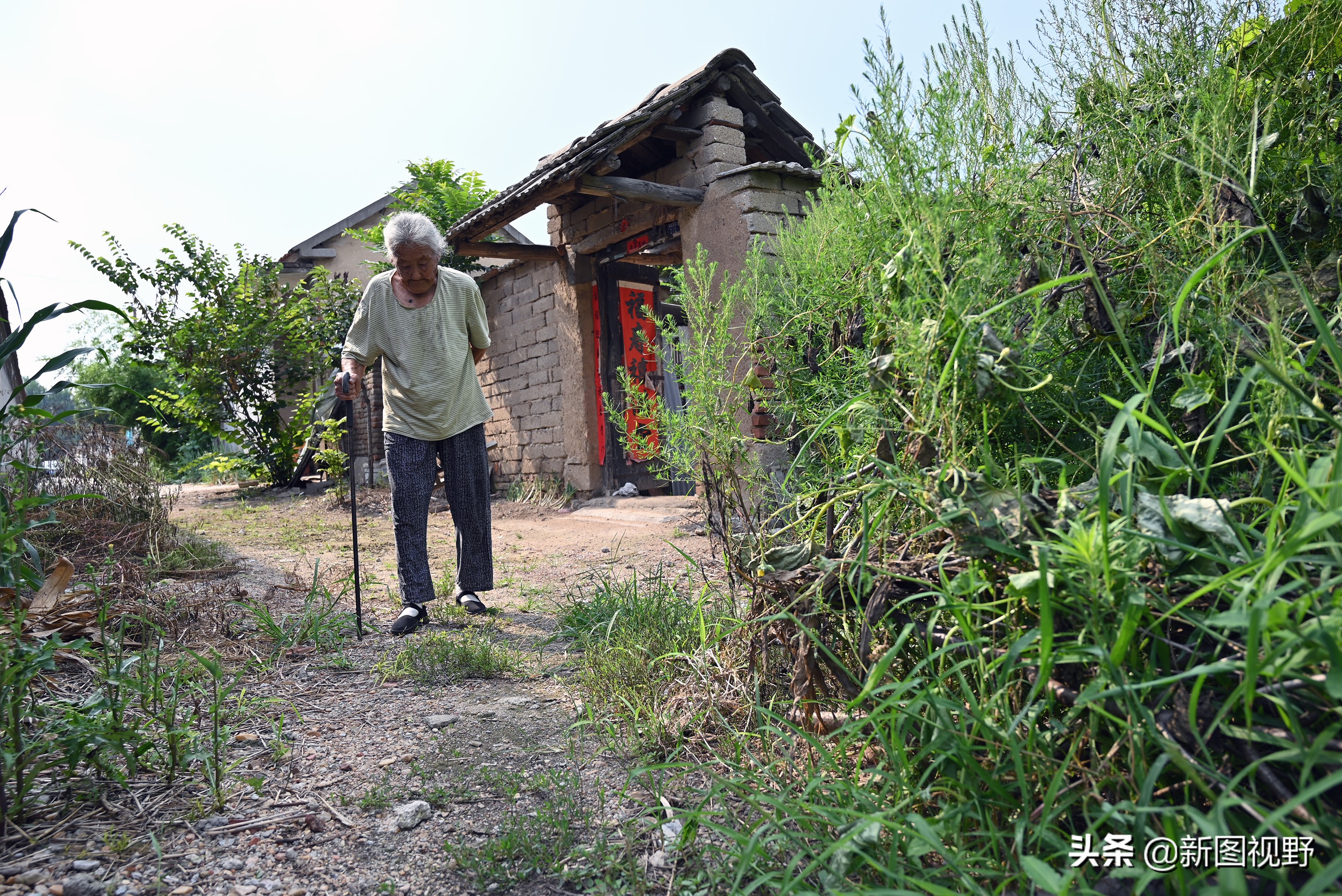 77岁儿子谈长寿经验，100岁母亲插话说出生活秘诀，极具人生智慧