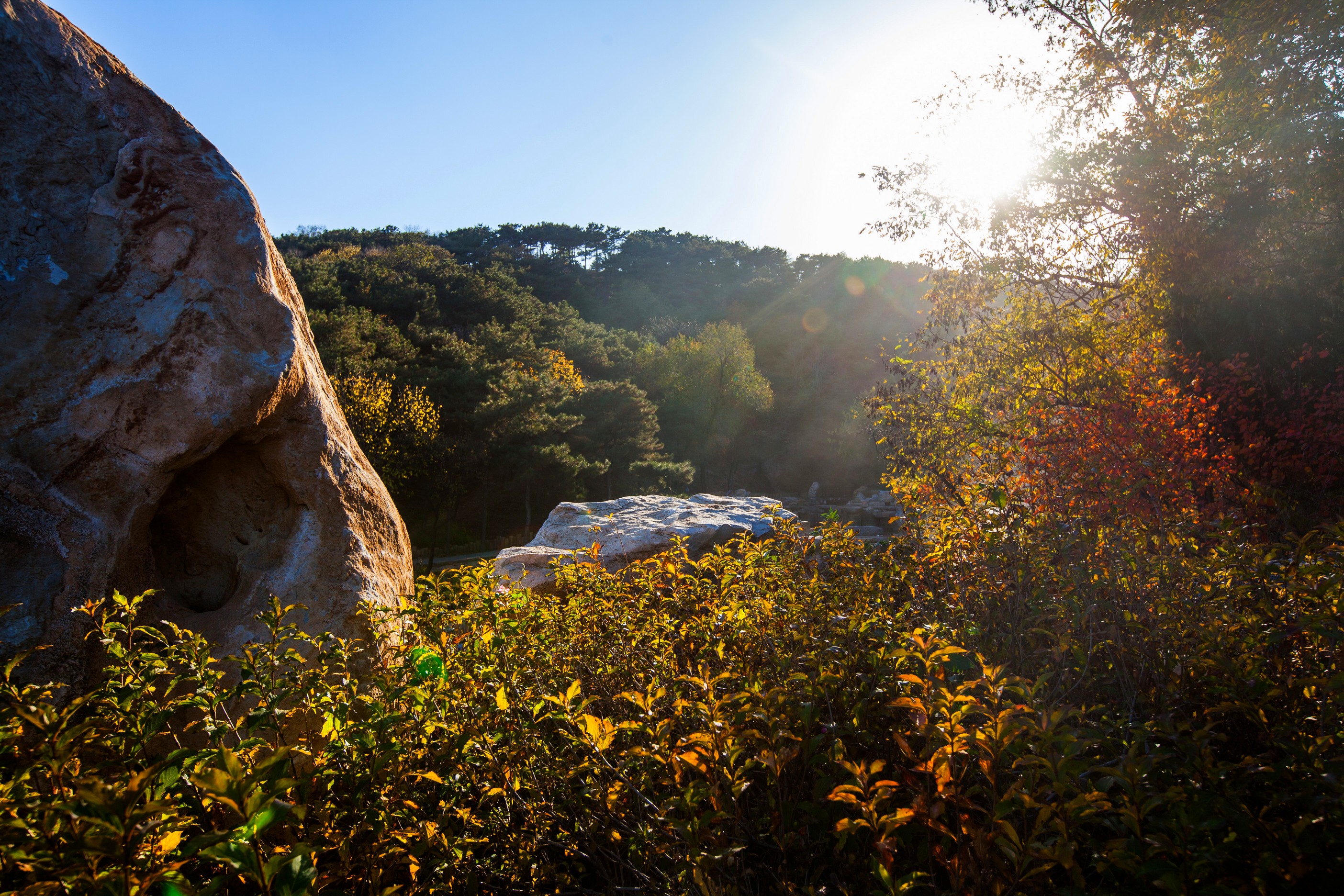 北京西山国家森林公园满满的禅意,深秋的北京西山国家森林公园