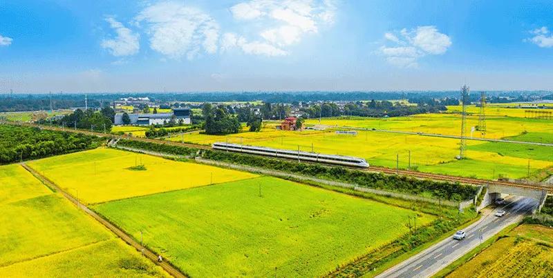 从贫困村到美丽乡村的华丽转身,崇州五星村国家示范乡村