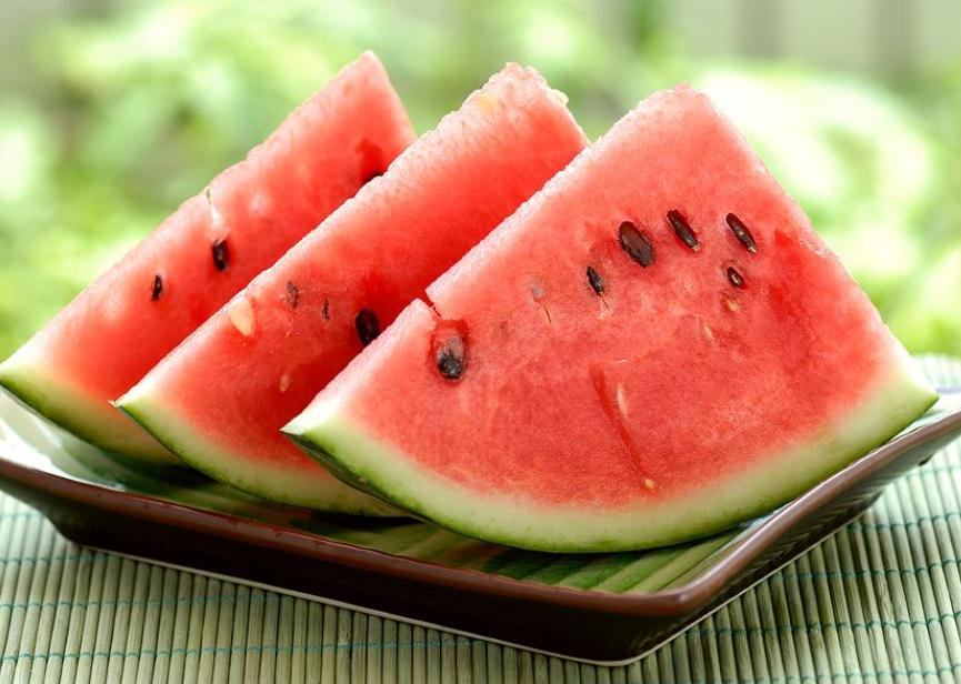 40天左右的狗狗喂什么食物好,二个月狗狗喂什么食物