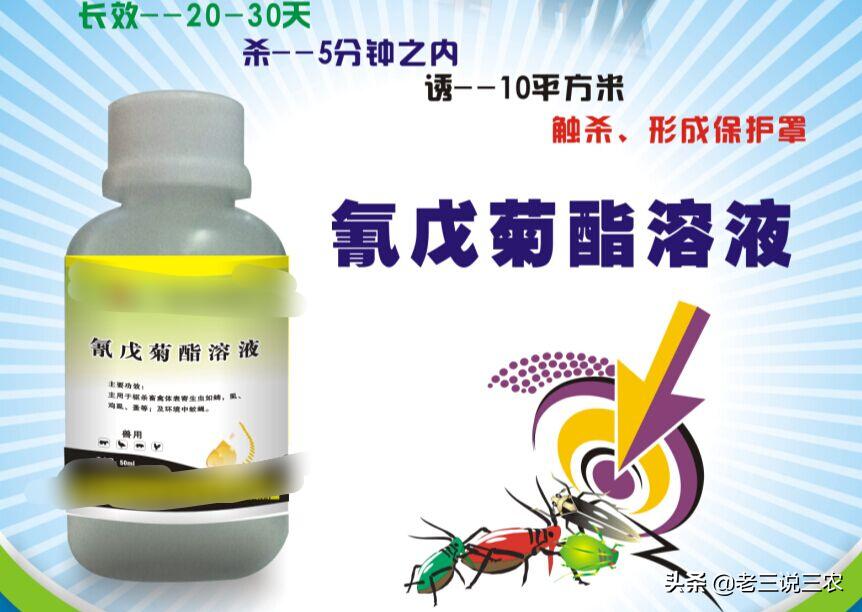 治蚊蝇蟑螂的药治跳蚤吗,家里蟑螂杀虫剂怎么喷