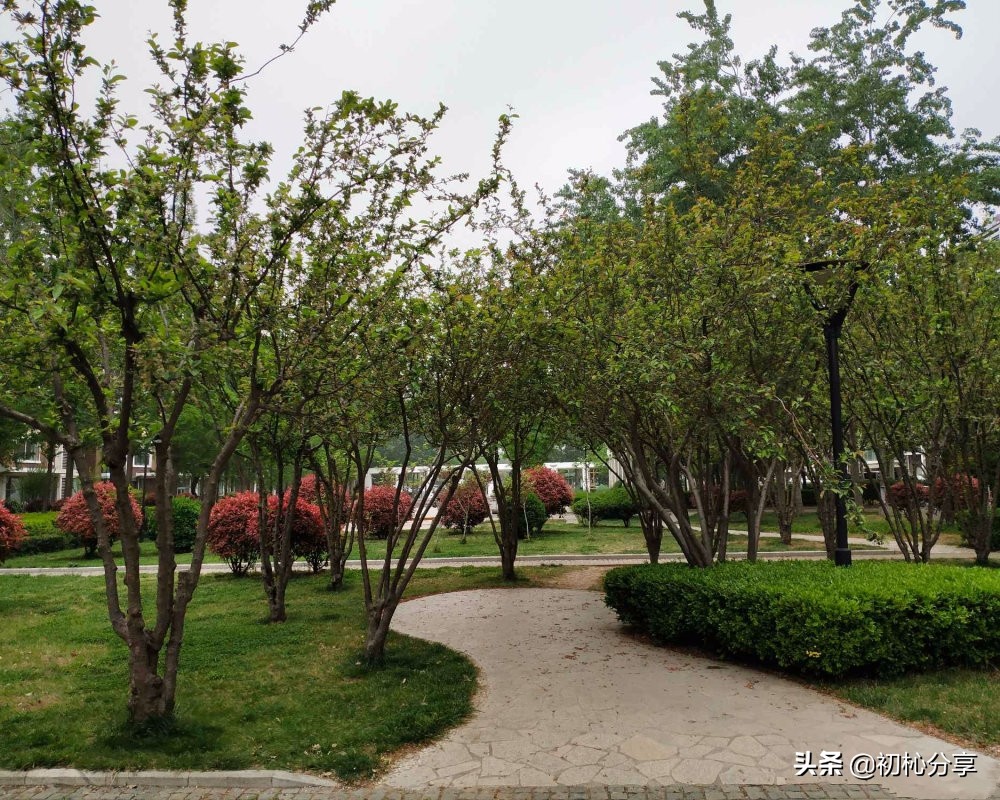 2013年临沂香榭丽舍房价,香榭丽舍临沂房价多少