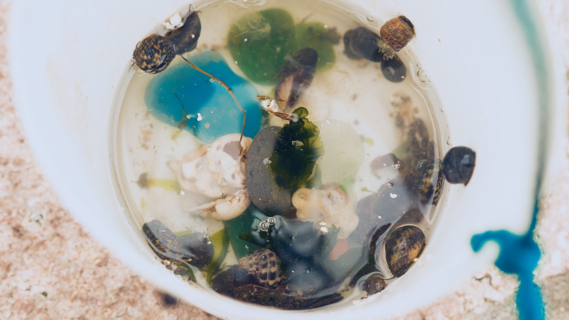 浙江嵊泗二日游,浙江嵊泗旅游攻略推荐