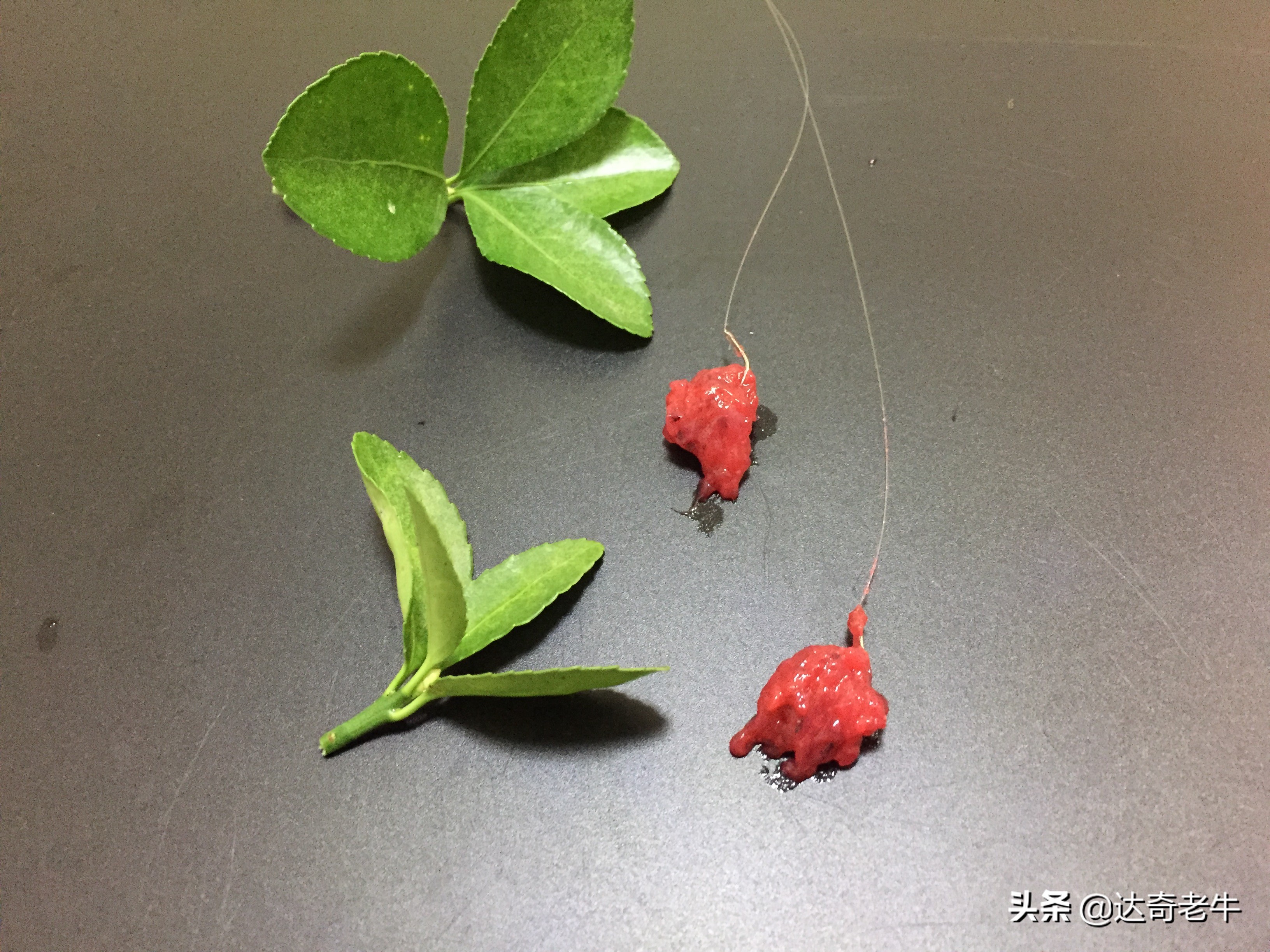 虾饵一般加什么添加剂,虾滑液体虾饵添加剂