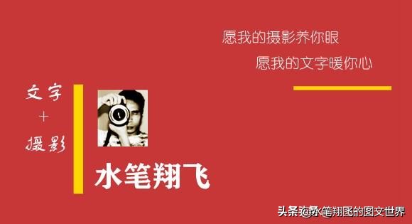 黑山谷深度洗肺,重庆黑山谷游记