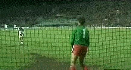 足球史上10大传奇门将,足球史上十大传奇门将