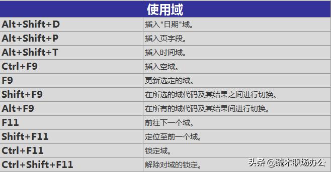 word关于域的操作有哪些,word域的作用和功能