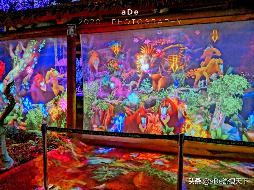 广州长隆野生动物园夜场,长隆嘉年华夜场17号有什么节目