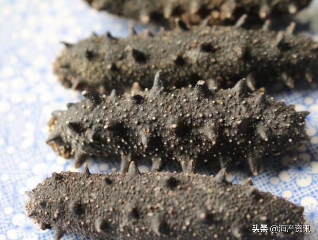 加拿大进口即食海参,加拿大超市抢购现状