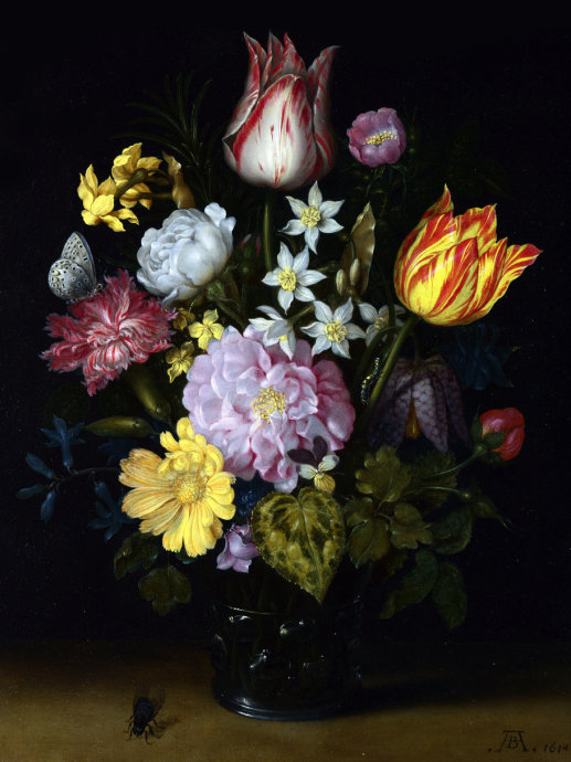 二十张惊艳的鲜花图片美图欣赏,好看的鲜花绝美图片