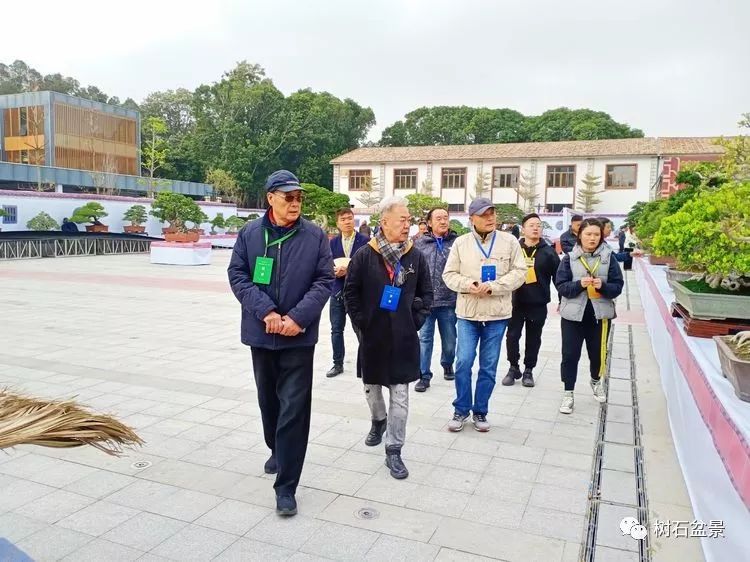 伟大使命复兴中国盆景艺术事业——2019中盆会大事回顾(下篇)