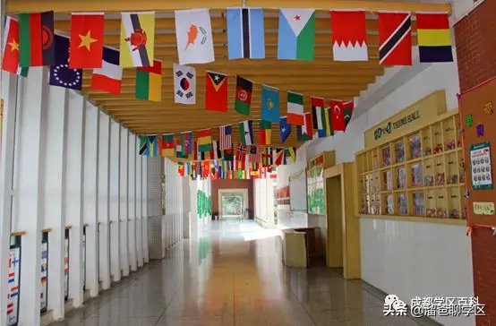 大源板块学校,大源片区最好的小学