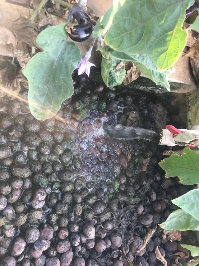 水产活水养殖,水产养殖水重复利用方法