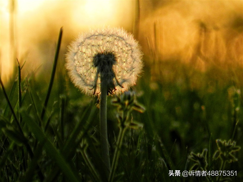 27岁艾滋病患者的自述,24岁艾滋患者自述