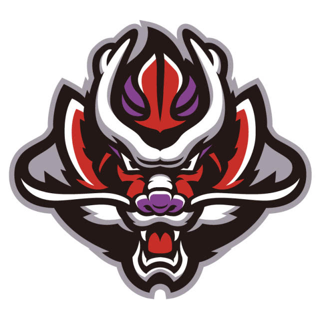 耐克中国高中生篮球联赛几节,灌篮高手耐克