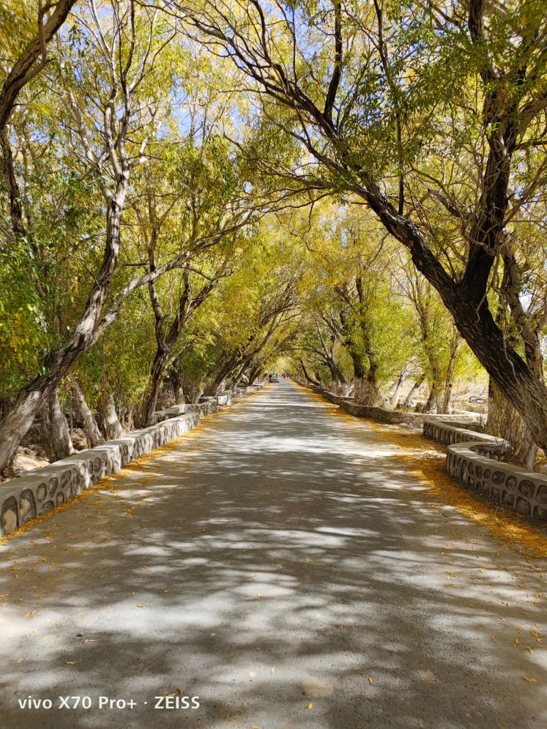 哪款手机拍照能比得上苹果13,iphone手机谁拍照最好用