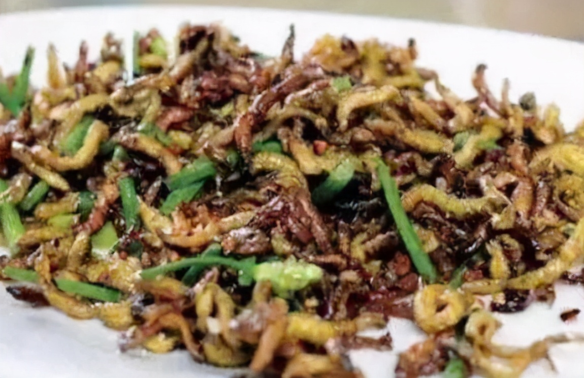 沙蚕怎么吃才是最好的,沙蚕可以生吃吗