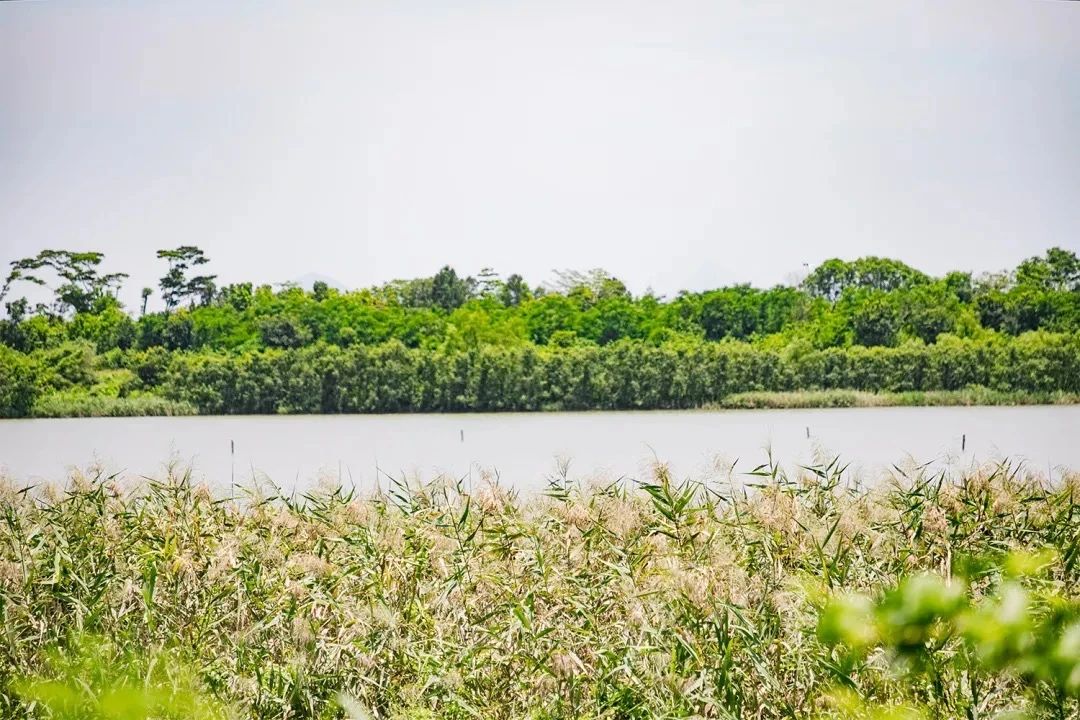 天下最美湖泊西湖,比西湖更美的湖泊