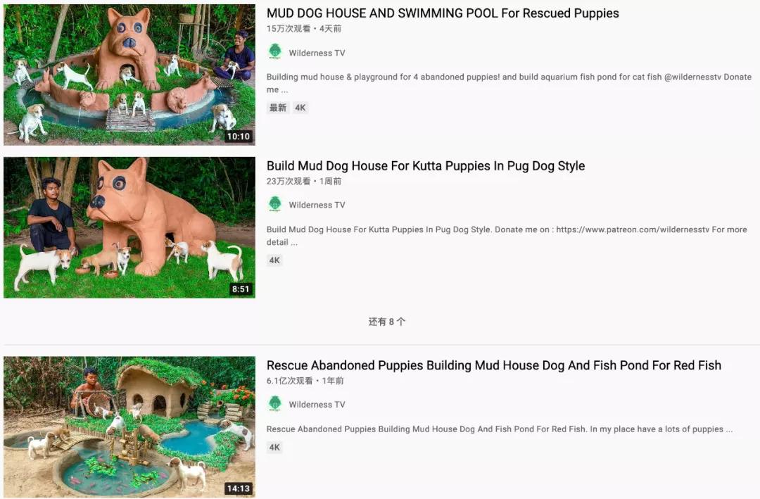 花三年建宠物乐园,花20万给狗打造乐园