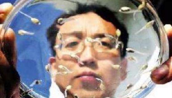 试管婴儿前必须要做人工授精吗,试管能观察卵子和精子结合吗