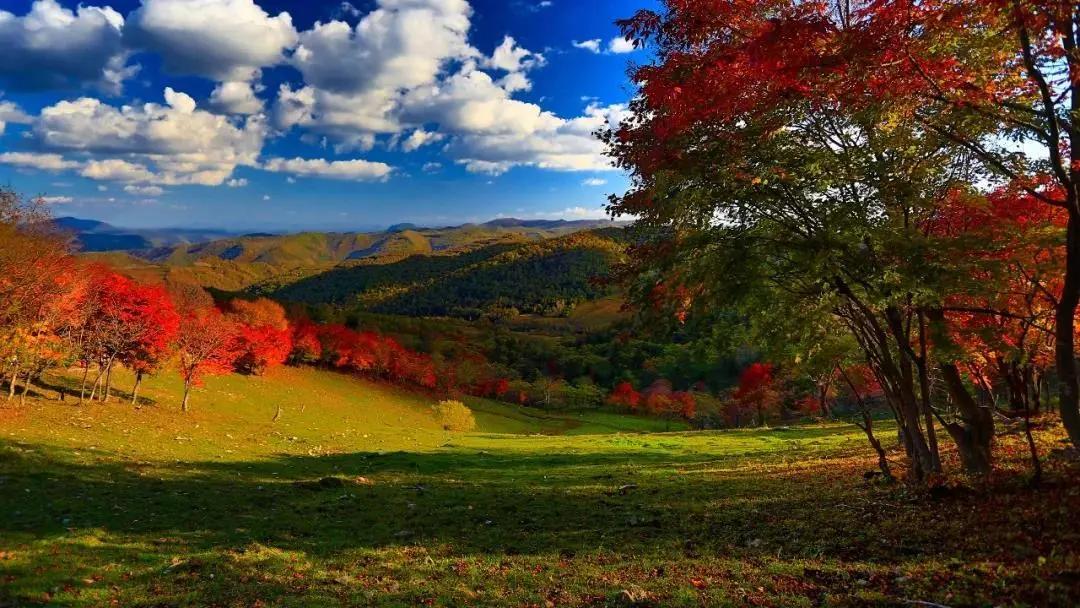假期逛景区一大波优惠等着您,景点优惠活动视频