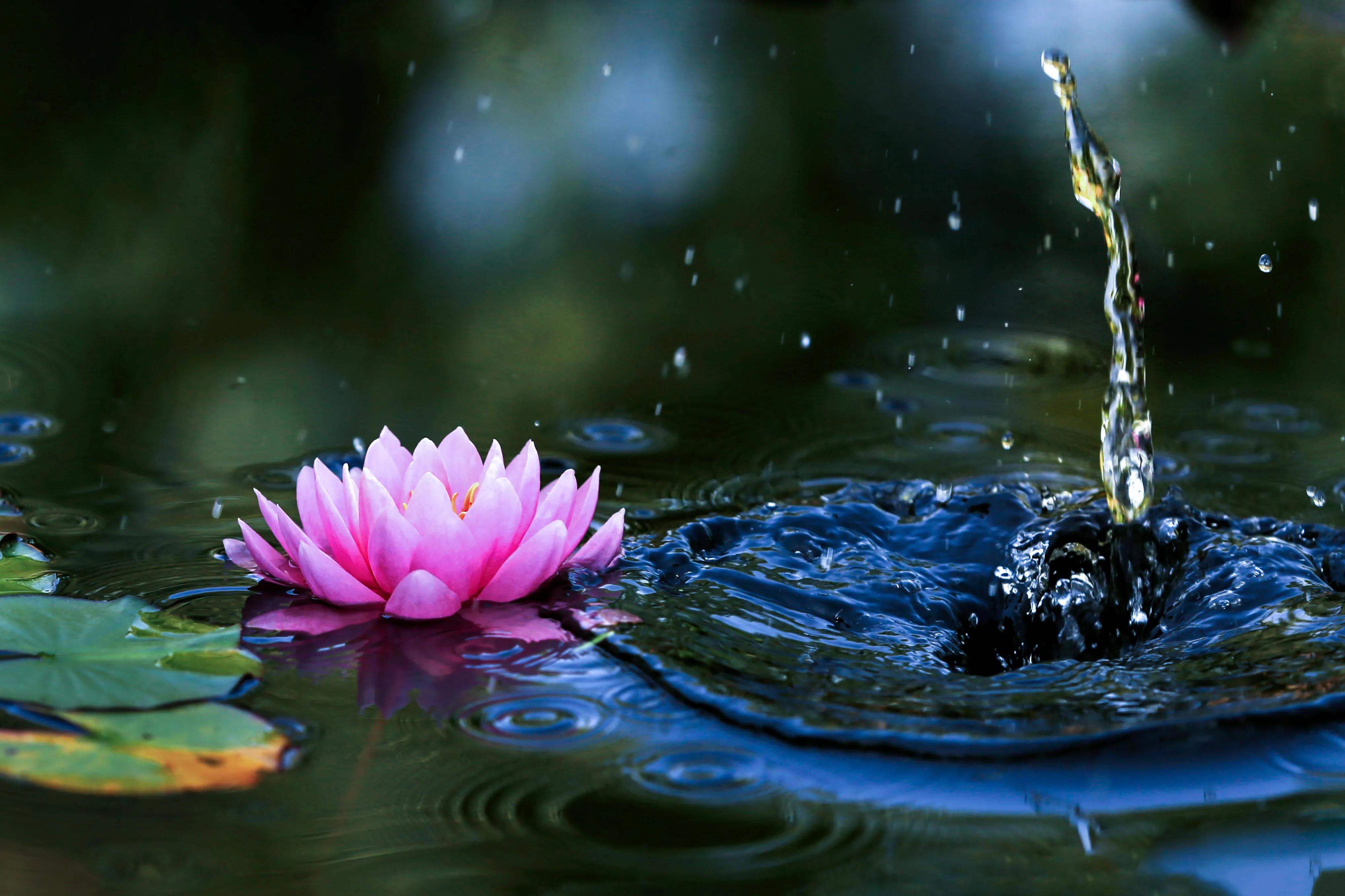 曲阜孔庙春节活动,曲阜孔庙景点介绍