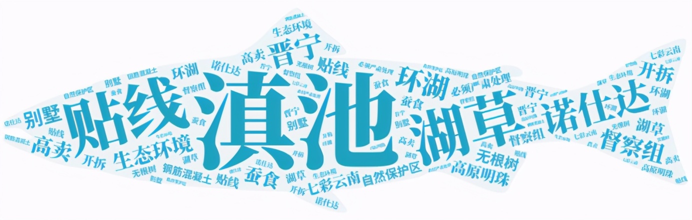 诺仕达集团创始人任怀灿发家史,诺仕达集团任怀灿移民哪个国家