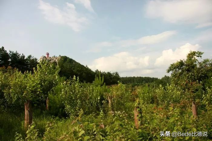 贵州空中怪车现在怎么样了,贵州ufo空中怪车事件真相