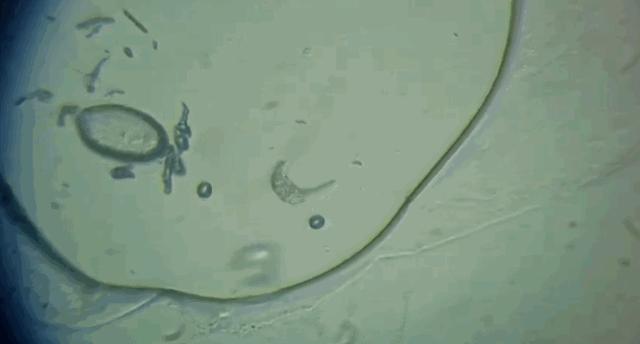 飞机上最脏的一点,为什么飞机上的空姐服务态度很好