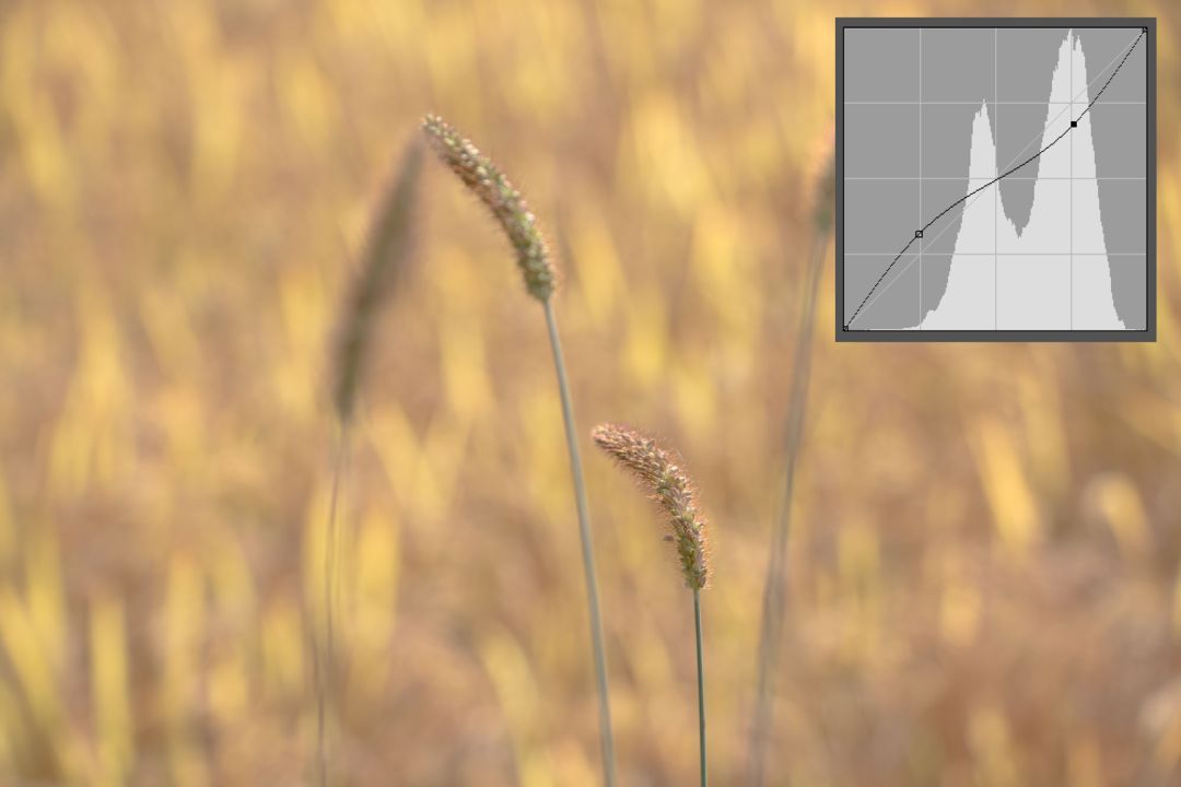 曲线要怎么记容易学得快,曲线难学吗