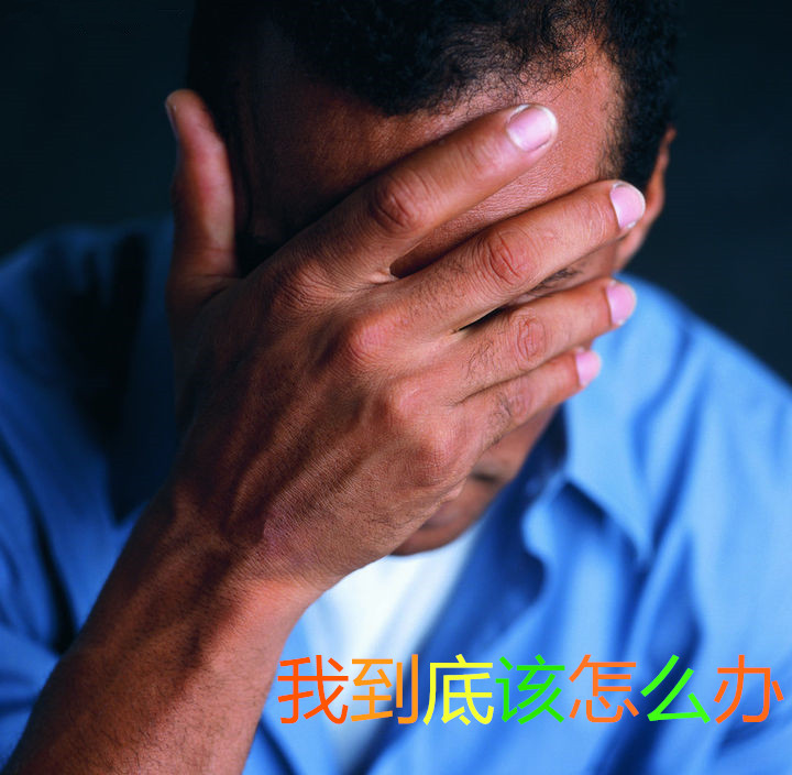 坚信自己一定能成功的诗句,坚信自己成功