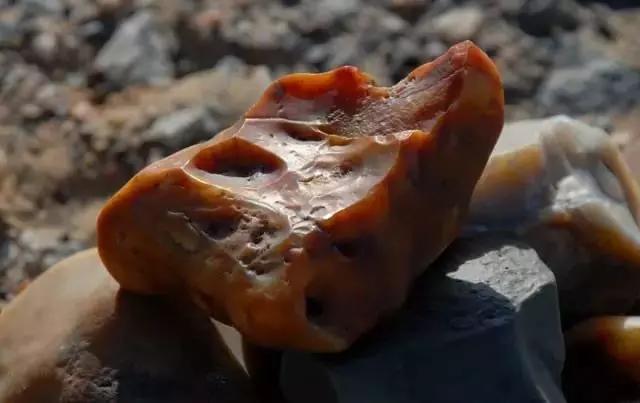 出去旅行不能捡石头有这一说法吗,8天假期适合去哪