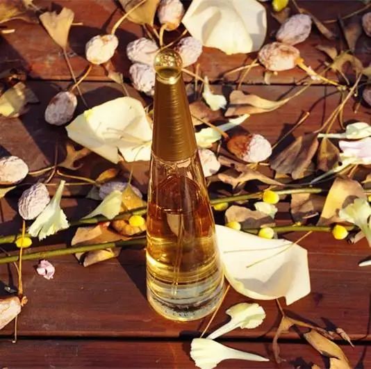 三宅一生的一生之水评测,三宅一生一生之水