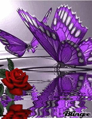 这是我见过最美丽的风景用英语,这是我见过最美的风景啥意思