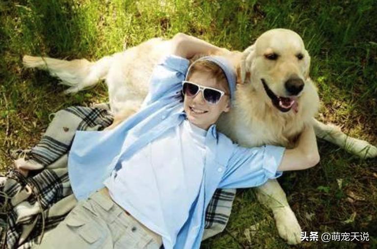 狗狗同床睡的危害,狗狗跟人一起睡对人有什么坏处