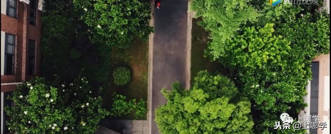 沪10大“美哭了”的公办小学,环境设施赶超民办!第一所就膜拜!