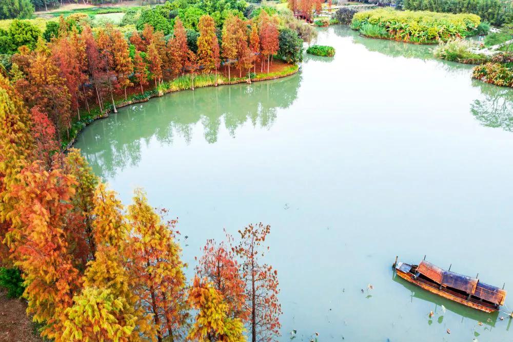 海珠湿地一期,海珠湿地公园走完要多久