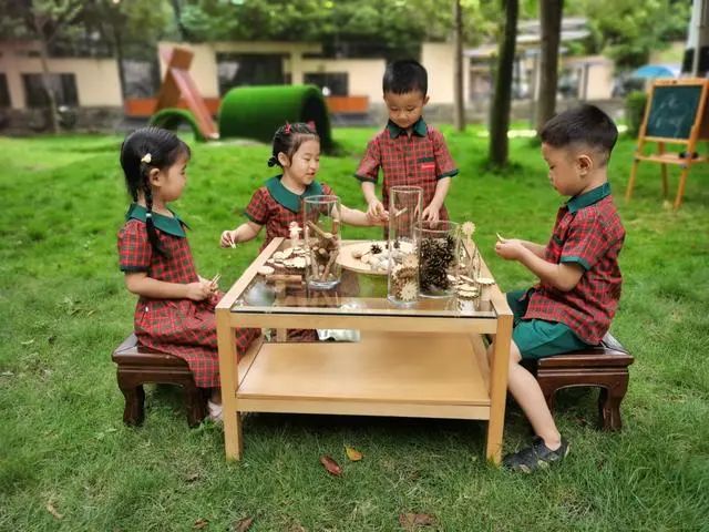 伊顿最新采访视频,伊顿幼儿园成都