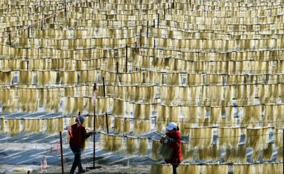 传统的粉条需要加明矾吗,手工粉条与机制粉条都加明矾吗