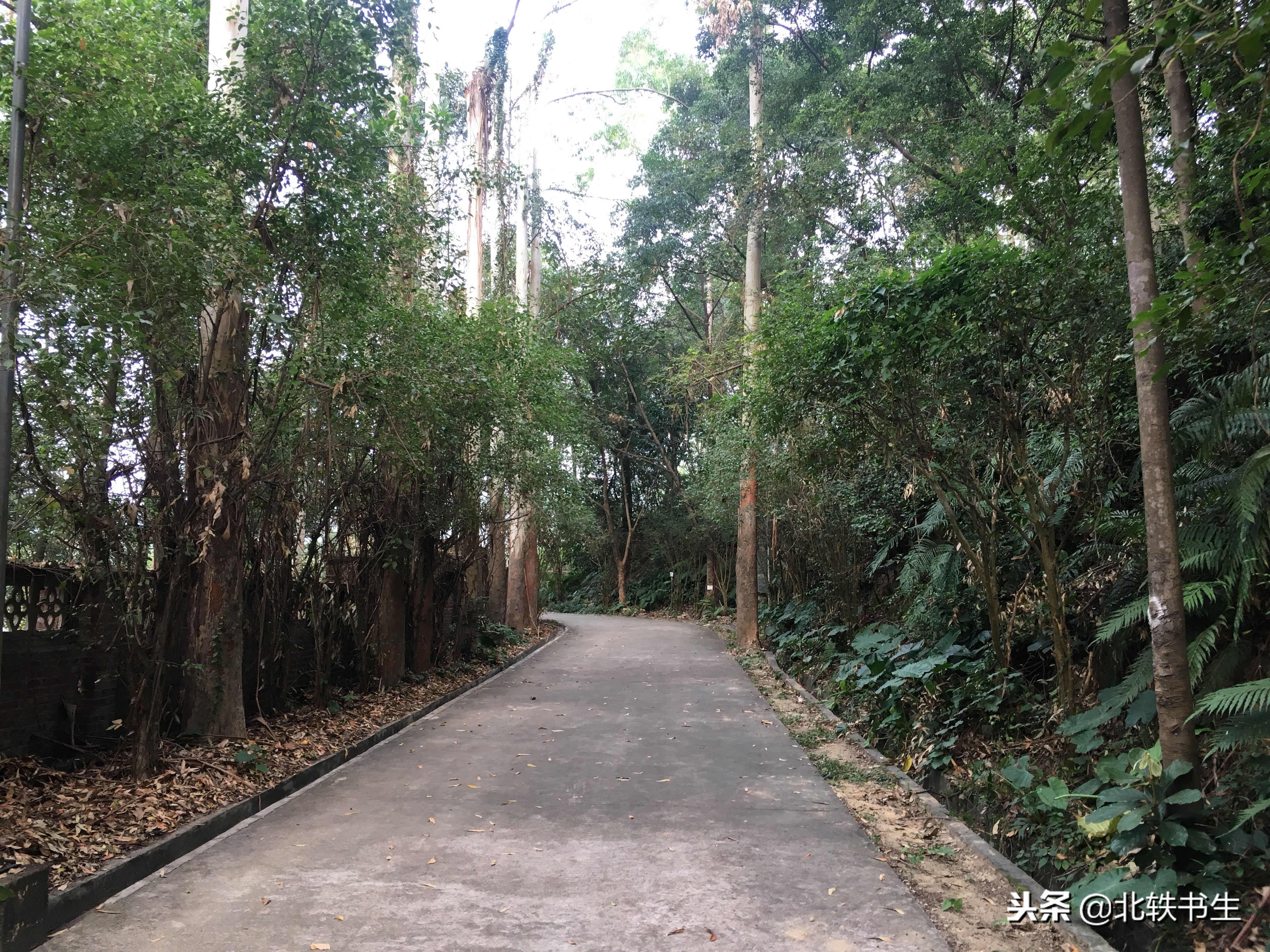 广州值得打卡的免费景点,广州天河必打卡的景点